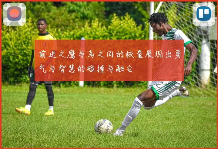 前进之鹰与乌之间的较量展现出勇气与智慧的碰撞与融合