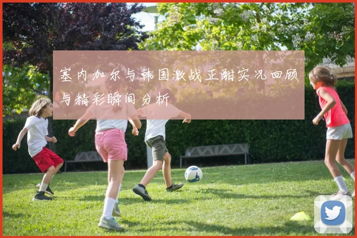 塞内加尔与韩国激战正酣实况回顾与精彩瞬间分析